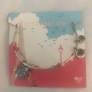 NWT Alex and Ani silver amour bracelet